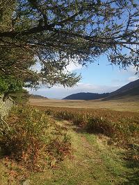 Activities in Co. Louth